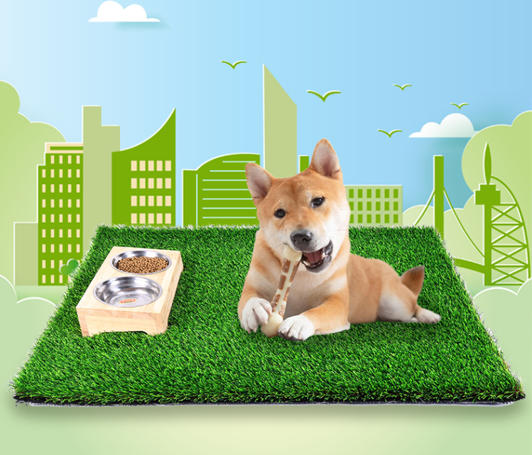 dog friendly artificial grass